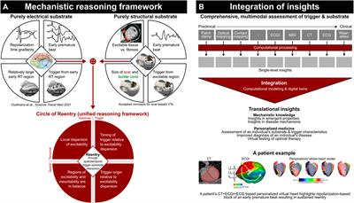 Editorial: Computational methods in cardiac electrophysiology